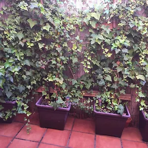 Apartamento Bonito Piso Centro De Boliches, Fuengirola